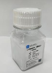 L-谷氨酰胺（200 mM）