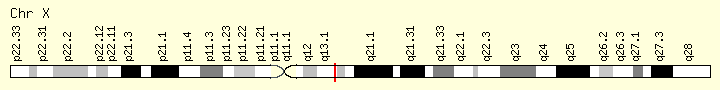 基因位点