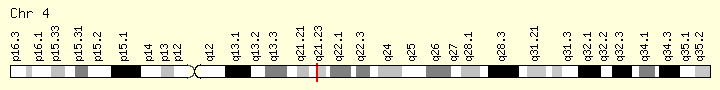 基因位点