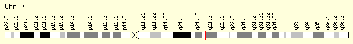 基因位点