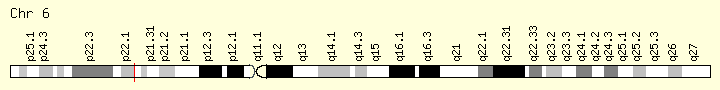 基因位点