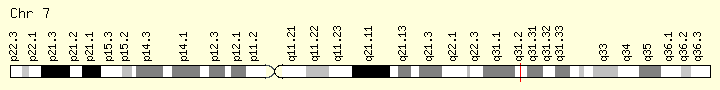 基因位点