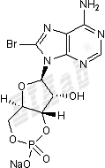 8-Bromo-cAMP, sodium salt Small Molecule