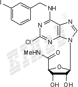 2-Cl-IB-MECA Small Molecule