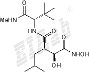 Marimastat Small Molecule