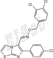CITCO Small Molecule