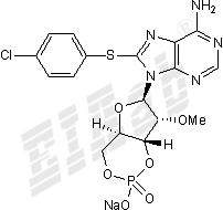 8-CPT-2Me-cAMP, sodium salt Small Molecule