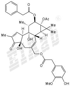 PPAHV Small Molecule