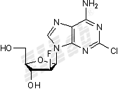 Clofarabine Small Molecule