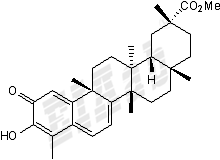 Pristimerin Small Molecule