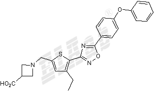 CS 2100 Small Molecule