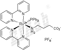 RuBi-GABA Small Molecule