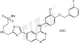 GW 583340 dihydrochloride Small Molecule
